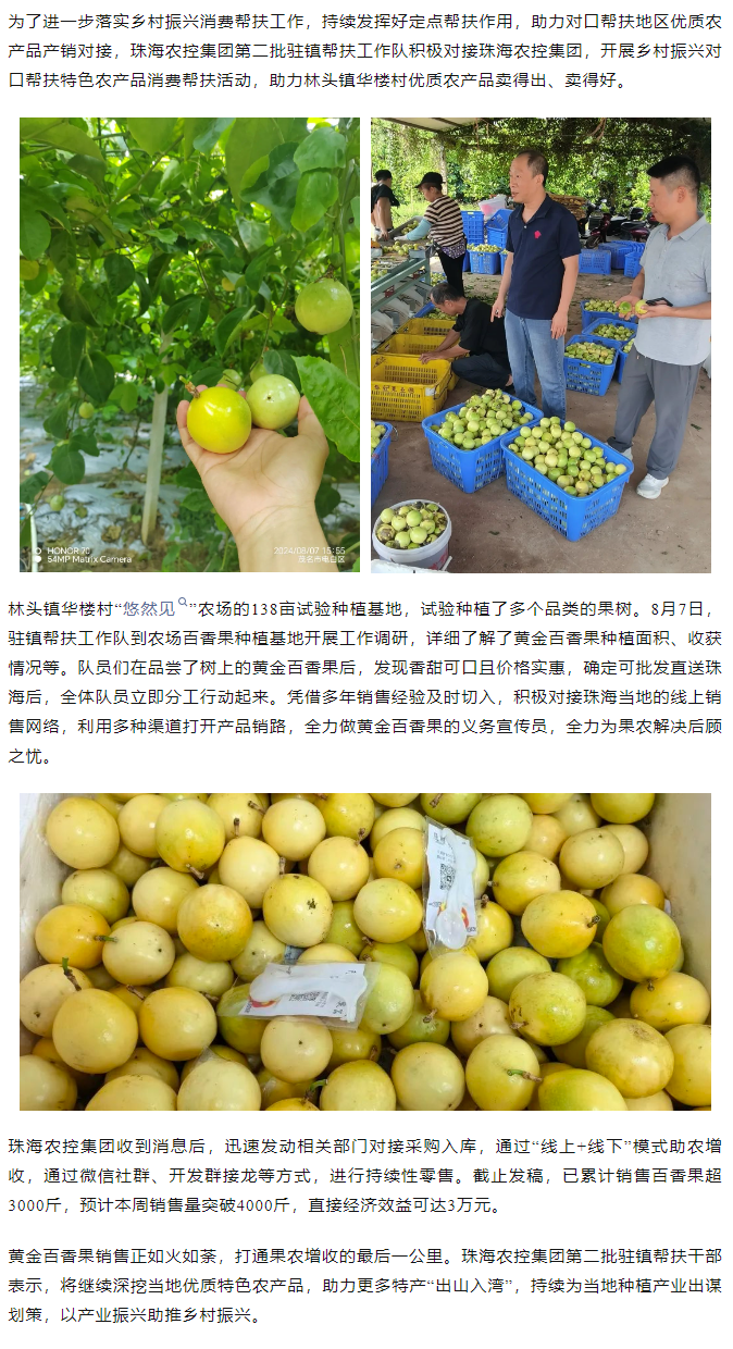 网红色情
助力产销对接 对口帮扶果香飘百里.png